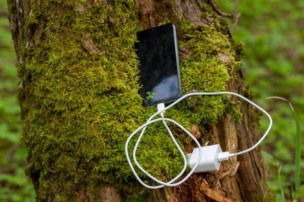 Ecological clean electricity concept. The mobile phone is charged from a tree