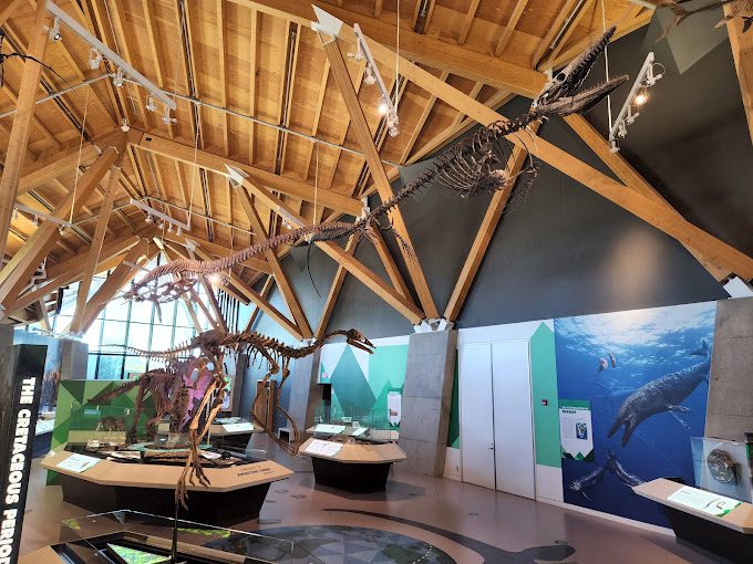 Philip J Currie Dinosaur Museum