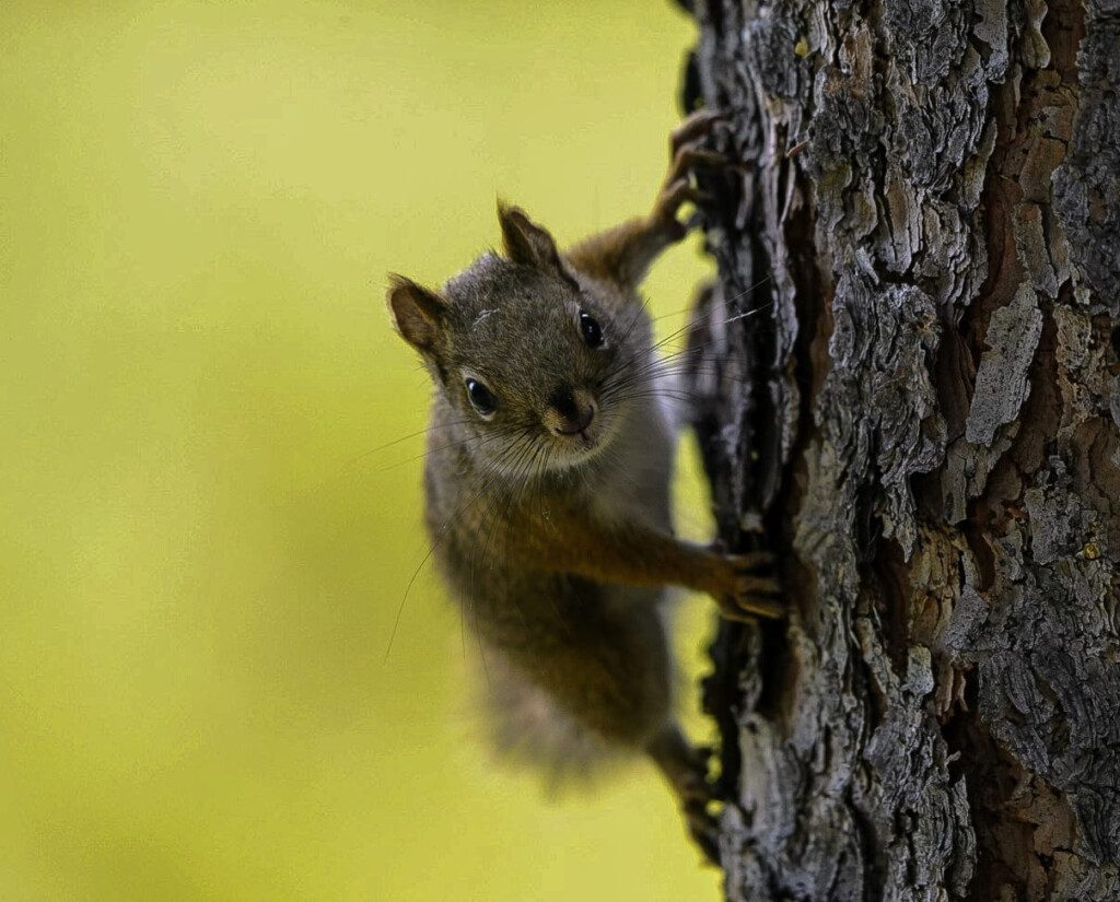 ec6075c2 5051 4271 8d05 1248b50a007a.jpg